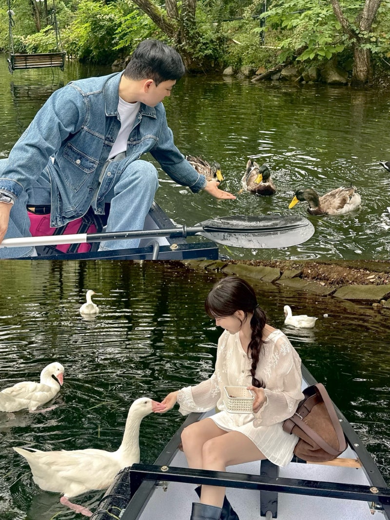 영화 노트북 팬이라면 꼭 가봐야할 곳 경주 국민힐링파크 오리와 카누타기