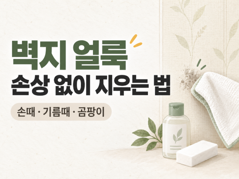벽지 얼룩 지우는 법｜손때·기름때·곰팡이, 손상 줄이는 청소 방법