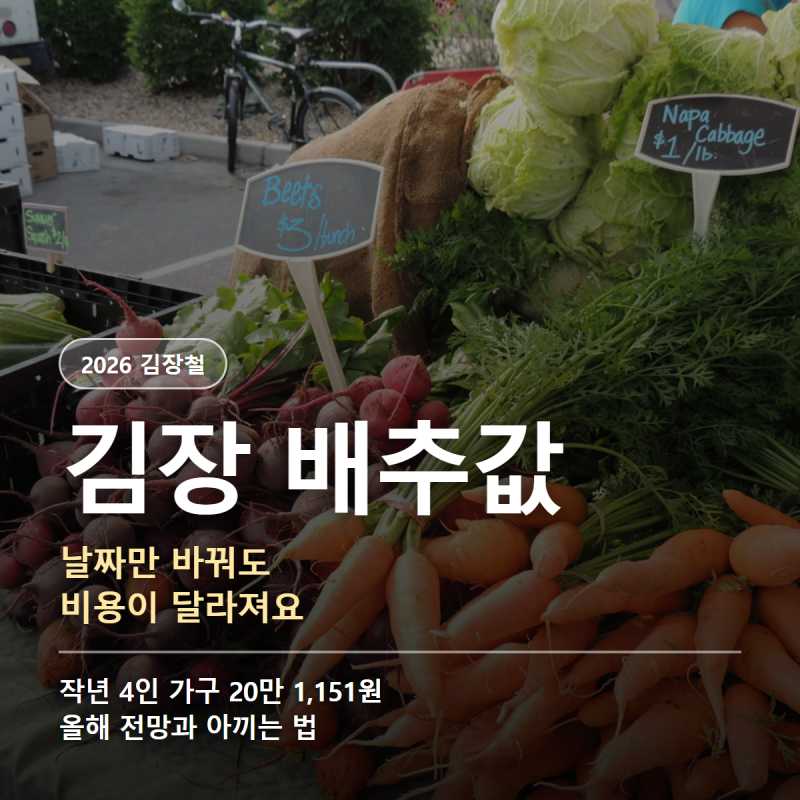 2026 김장 배추값과 김장비용, 언제 사야 싸게 하는지 정리했어요