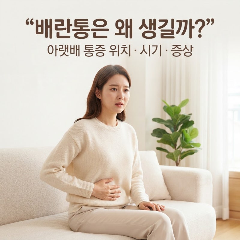 배란통은 왜 생길까? 아랫배 통증 위치·시기·증상 알아보기