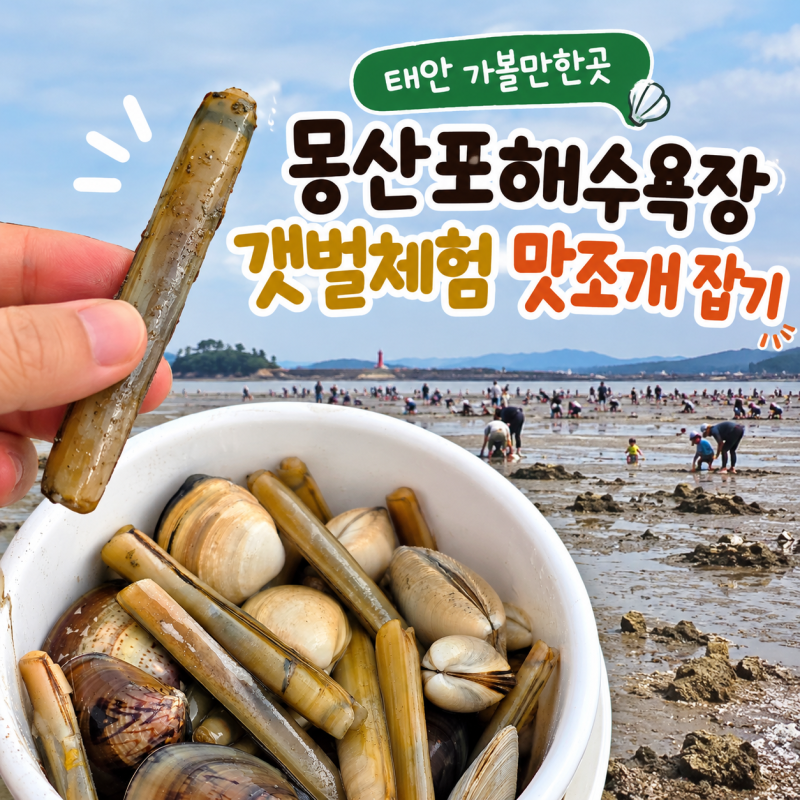 Taean Family Trip: Mongsanpo Beach Tidal Flat Experience, Catching Razor Clams – A Great Place for Kids