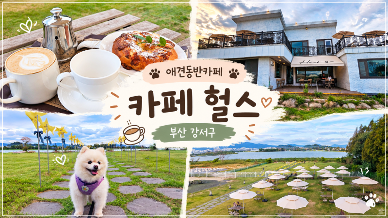 부산 강서구 애견동반 카페 헐스