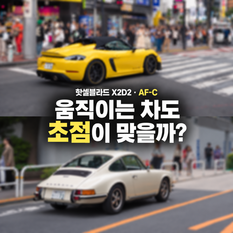 핫셀블라드 X2D2 AF-C 사용기, 움직이는 피사체도 잘 찍힐까?