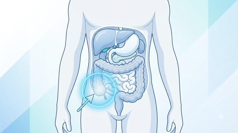 오른쪽 아랫배 통증 콕콕 쑤실 때, 맹장염 초기증상 구분법 4가지