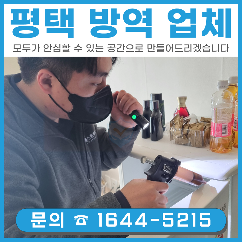 바퀴벌레 퇴치 평택 방역 소독 업체 도움이 필요할까요?