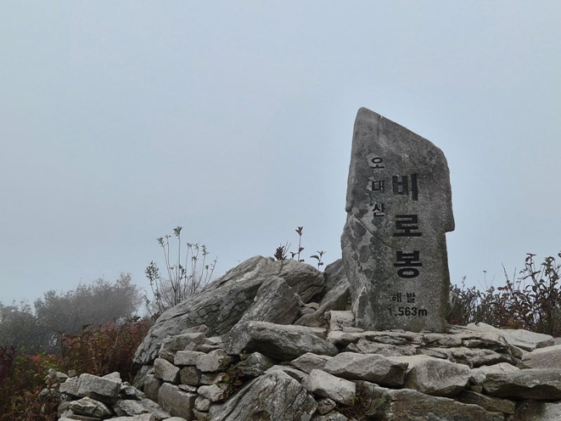 강원 오대산 등산 상왕봉코스. 상원사 - 비로봉 - 상왕봉