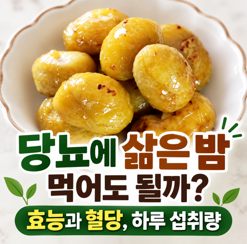 당뇨에 삶은 밤 먹어도 될까? 효능과 혈당, 하루 섭취량