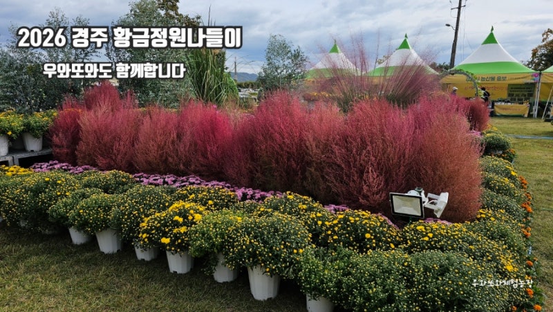 2026 경주 황금정원나들이, 정보화농업인 경주지회와 우와또와도 함께합니다