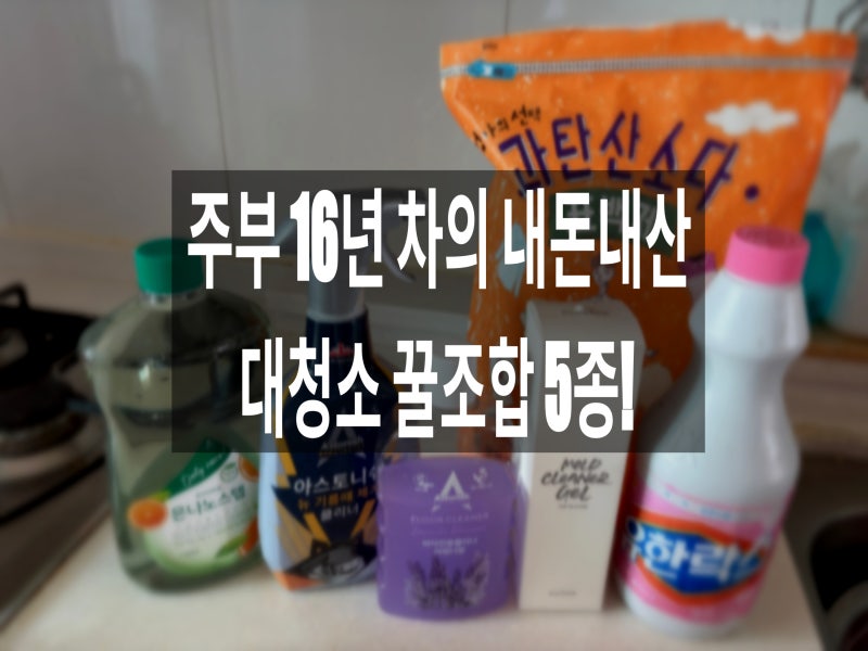16년 차 주부가 보증하는 내돈내산 청소 꿀팁 5종! (주방 기름때, 욕실 곰팡이, 바닥 얼룩 싹!)