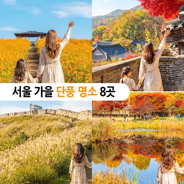 서울 단풍 명소 가을 나들이 꽃구경 데이트 8곳 추천, 석파정 하늘공원 낙산공원 덕수궁돌담....