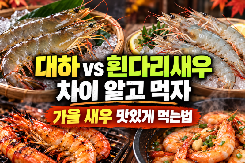 대하 흰다리새우 차이 알고 먹자, 가을 새우 맛있게 먹는법
