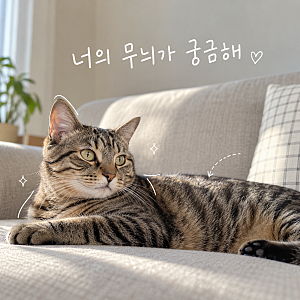 고양이태비 뜻과 종류, 치즈태비 고등어태비 차이