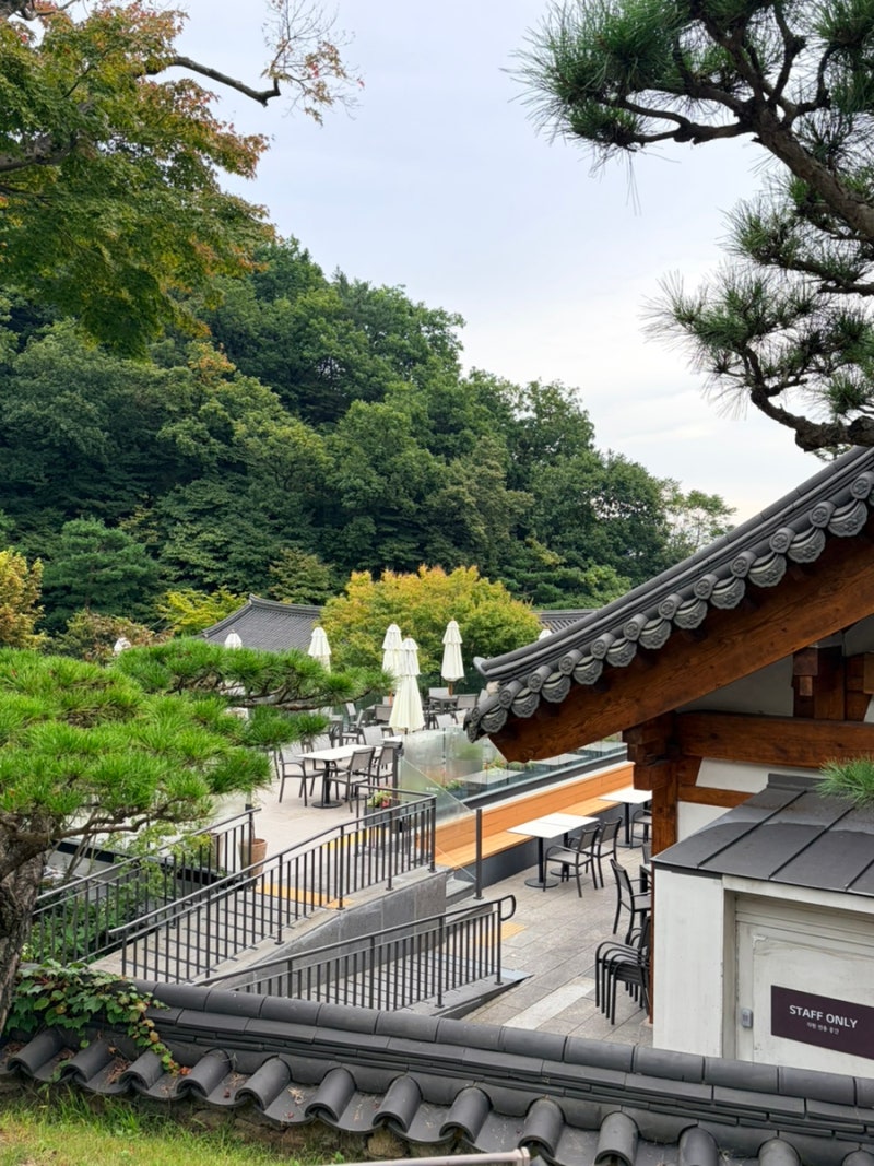 2026 화담숲 예약 방법 단풍 모노레일 화담채 총정리
