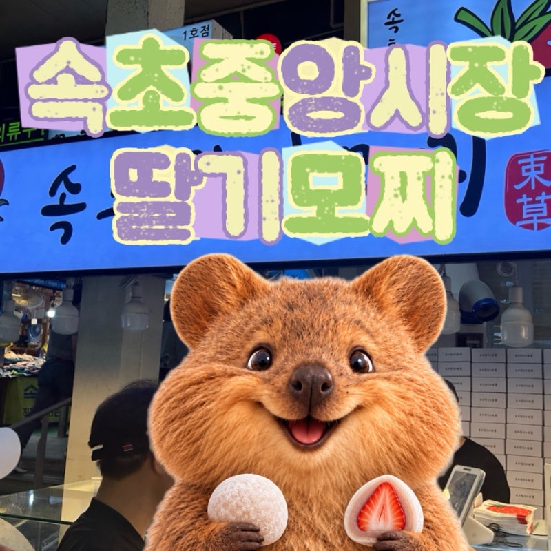 속초중앙시장 속초딸기모찌 찹쌀떡 후기｜딸기 vs 귤 직접 먹어보니