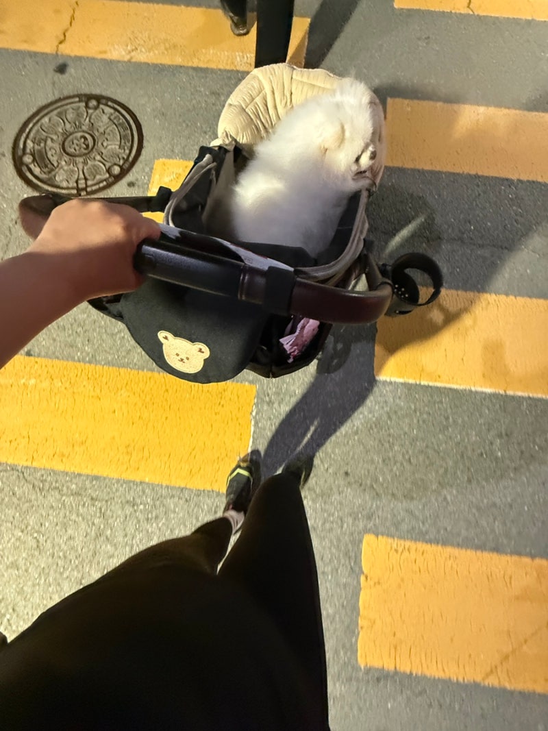 통풍증상 4가지, 식사도 운동도 다르게!