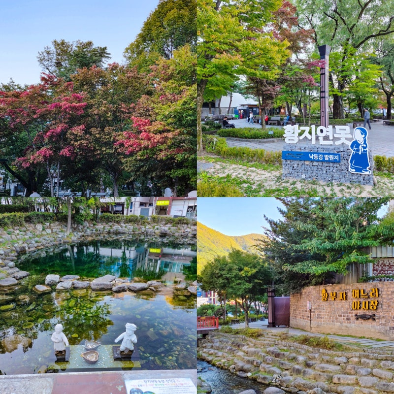 강원도 태백 단풍 현황 황지연못 10월 여행 태백시 가볼만한곳 추천