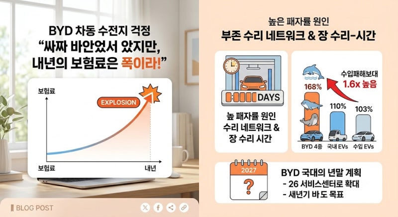 BYD 전기차 가성비의 반전? 내년 자동차 보험료 폭탄 우려되는 이유