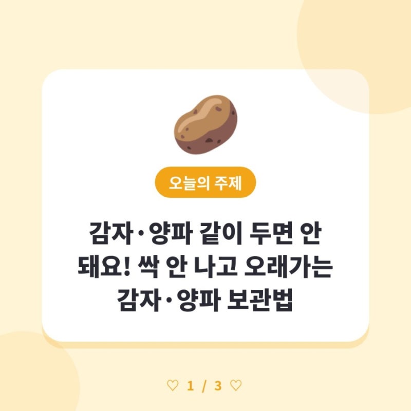 감자·양파 같이 두면 안 돼요! 싹 안 나고 오래가는 감자·양파 보관법