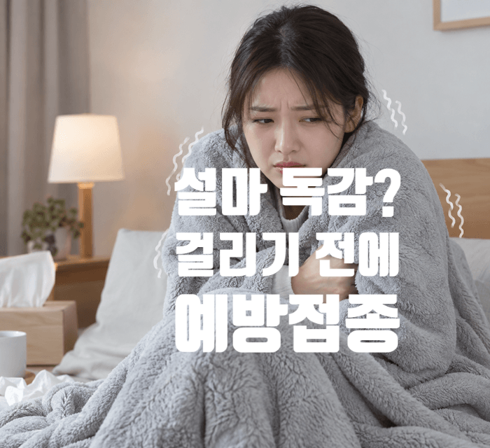 먼저 걸리고 후회했다 독감 증상 A형 B형 차이 독감예방접종 무료 대상 시기