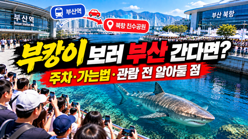 부캉이 보러 부산 간다면? 북항 친수공원 주차·가는법·관람 전 알아둘 점