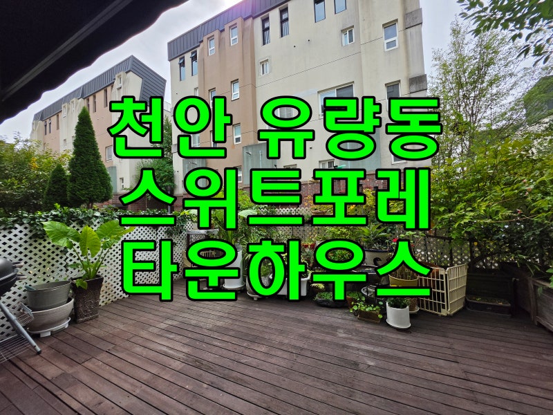 천안 유량동 타운하우스 스위트포레 매매 전세 월세 넓은 정원 테라스 옥상 루프탑 테라스를....