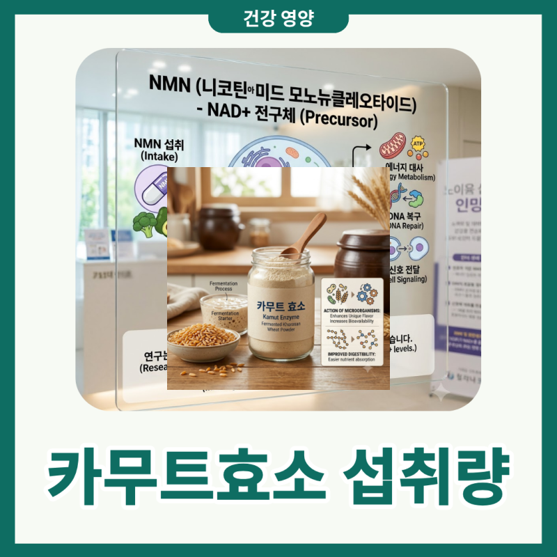 카무트효소 효능 섭취량 먹는법까지 한 눈에 정리