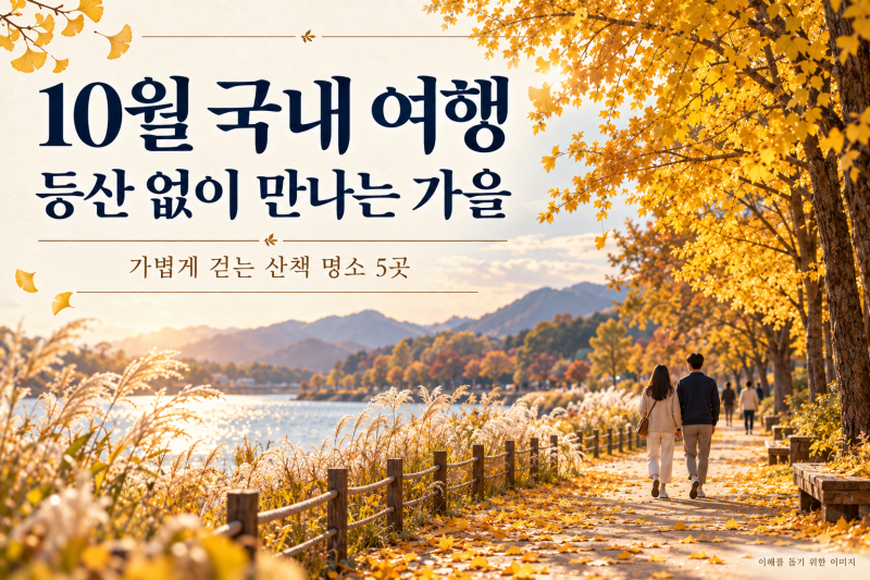 10월 국내 여행, 등산 없이 걷는 가을 산책 명소 5곳