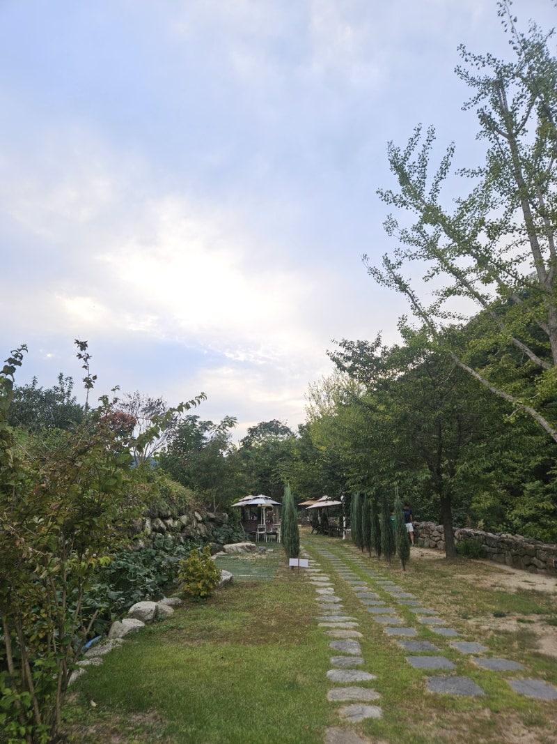 대구 군위 '카페우즈 woods' 숲속카페, 애견동반가능