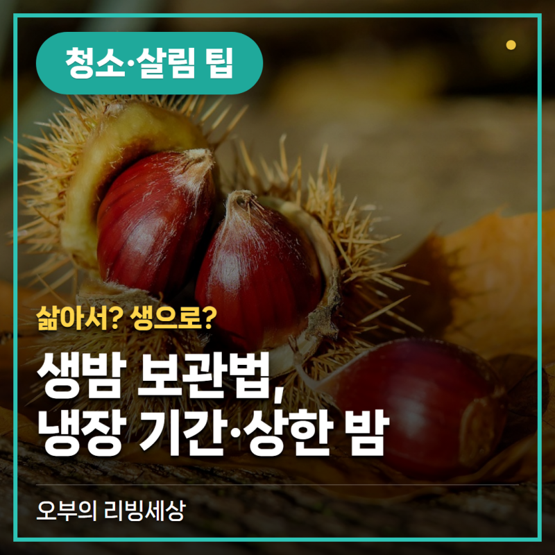 생밤 보관법, 삶아서 얼릴까요 생으로 얼릴까요 (냉장 기간·상한 밤)