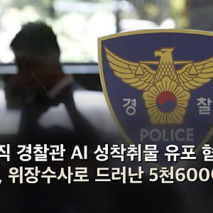 현직 경찰관 AI 성착취물 유포 혐의 구속, 위장수사로 드러난 5천600여 개