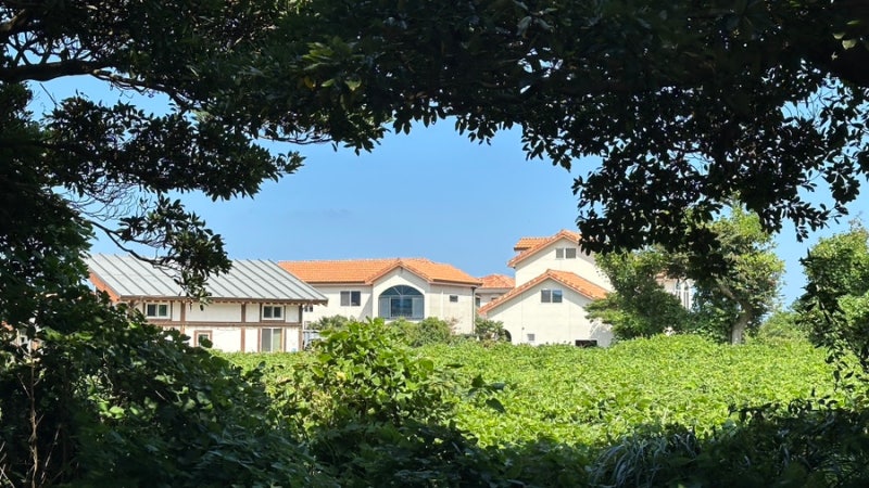 [제주] 제주도 3박 4일 자유여행 4일차: 김녕빗소리, 월정리해변, 차한모금, 비자림, 오메기떡,....