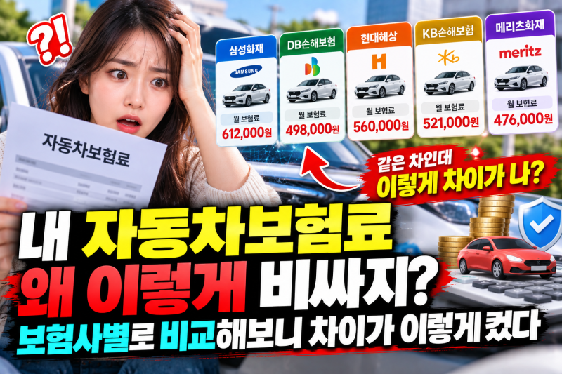 내 자동차보험료 왜 이렇게 비싸지? 보험사별로 비교해보니 차이가 이렇게 컸다