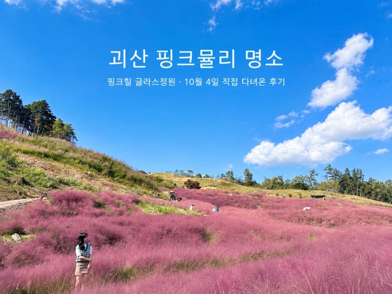 괴산 핑크뮬리 명소 핑크힐 글라스정원 10월 가볼만한곳, 직접 다녀온 후기(10월4일기준)