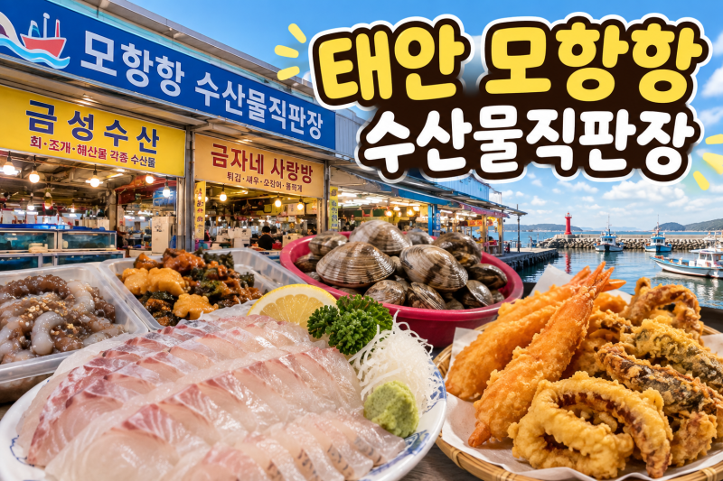 태안 모항항 수산물직판장｜조개만 사려다가 양손 가득 나온 이유