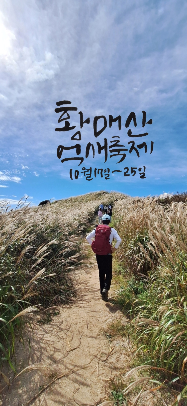 2026년 10월 3일 토요일 가을여행. 합천 황매산 정상 주차장 주말주차꿀 팁! 억새축제 등산 코....