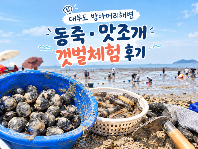 대부도 방아머리해변 갯벌체험 아이와 동죽 맛조개 잡기 후기