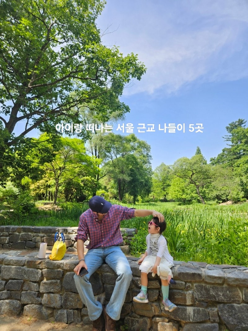 서울 근교 아이랑 가볼만한 곳 5곳｜가을 피크닉·동물 체험·숲 산책