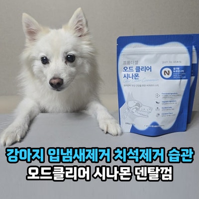 강아지 입냄새제거 치석제거 습관은? 프롬더셀 오드클리어 시나몬 덴탈껌 강아지껌 개껌 급....