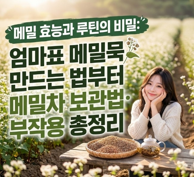 메밀 효능과 루틴의 비밀: 엄마표 메밀묵 만드는 법부터 메밀차 보관법·부작용 총정리