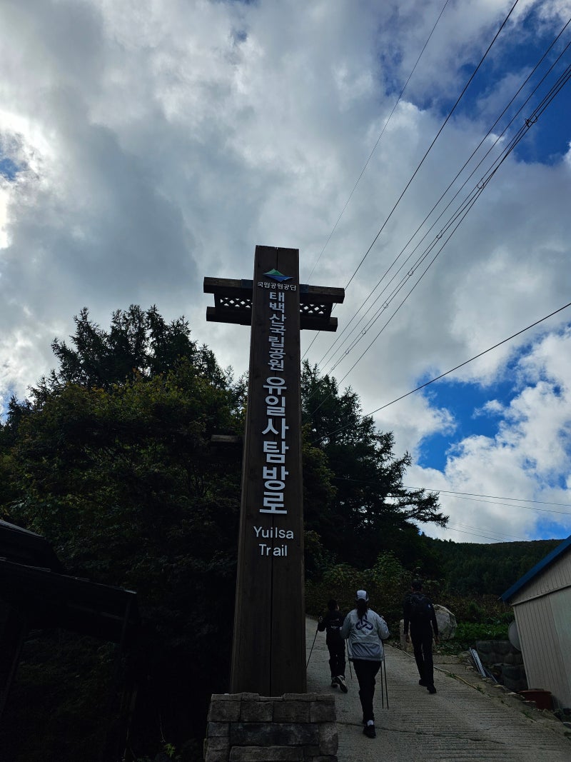 태백산 유일사 등산