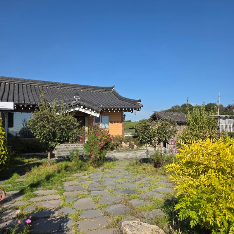 가을과 함께 하는 경주 애견 동반 펜션 나리길 한옥펜션