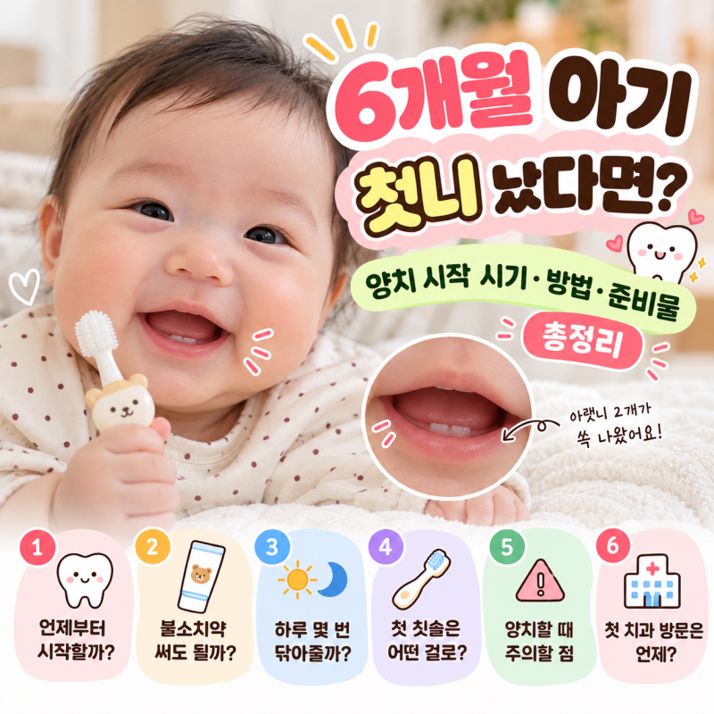 6개월 아기 첫니 났다면?｜양치 시작 시기·방법·준비물·이나는순서 총정리