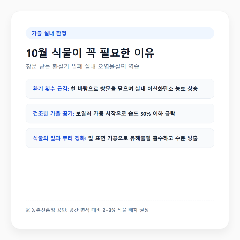 10월 실내 공기정화 식물 추천과 가을 분갈이 시기 물주기 팁
