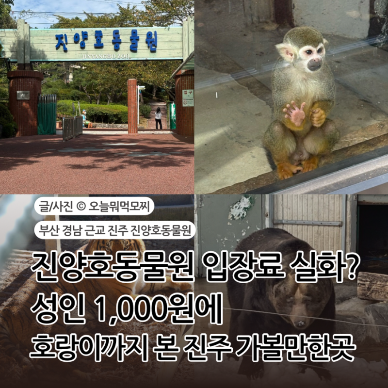 부산 경남 근교 진주 낮에 볼거리 진주 진양호동물원 아이와 가볼만한 곳 (가성비 최고)
