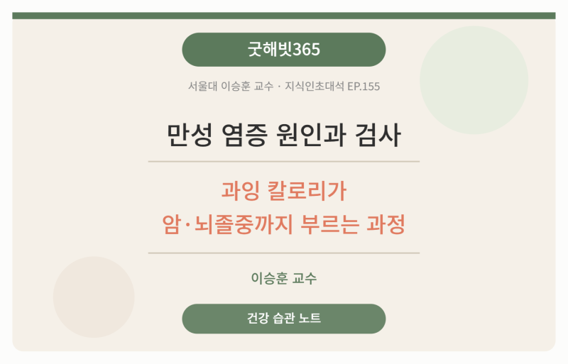만성 염증 원인과 검사 — 과잉 칼로리가 암·뇌졸중까지 부르는 과정 (이승훈 교수)