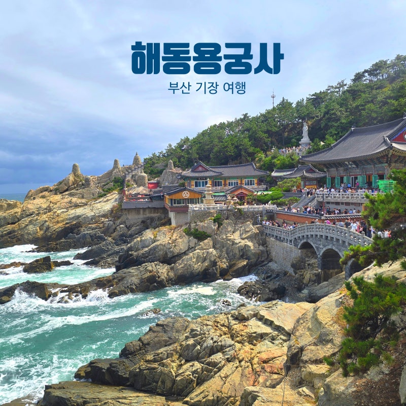 Busan Gijang Travel: Haedong Yonggungsa Temple – So Many People? A Hot Spot Embracing the Sea
