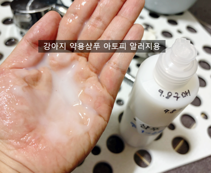 강아지 약용샴푸 프루너스로 피부와 털 건강하게 관리하는 팁