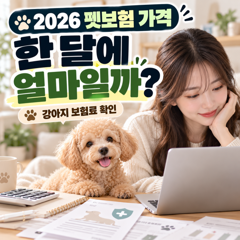 2026 펫보험 가격 (강아지 한달 보험료·가격 비교방법)