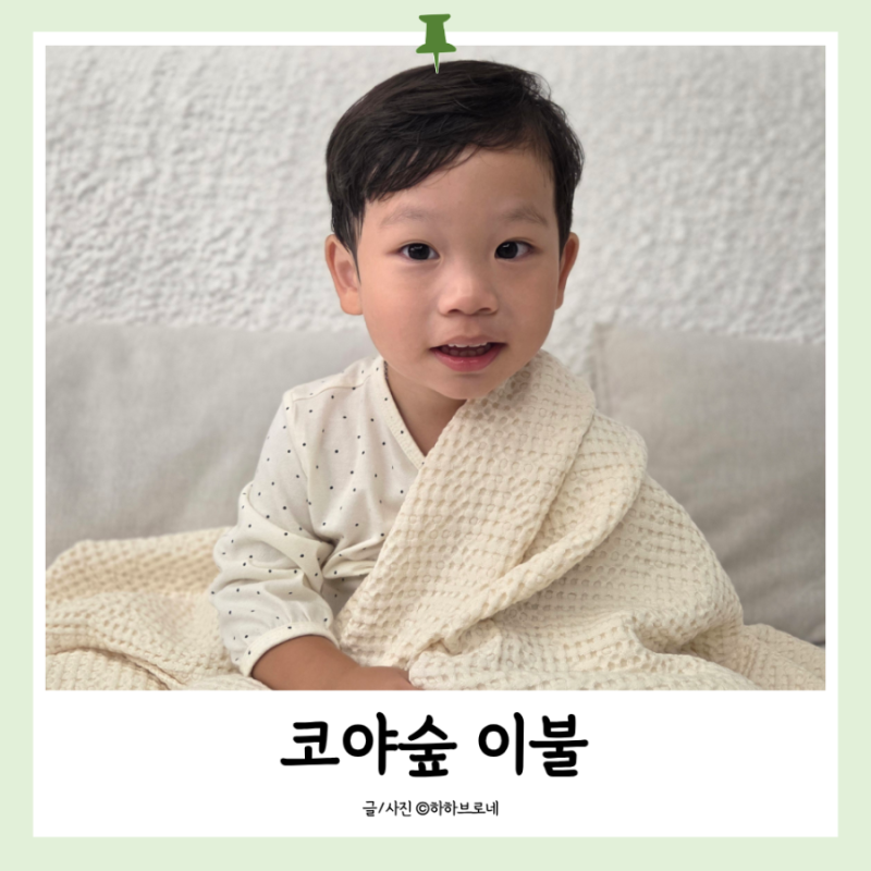 코야숲 홑이불 | 100% 국내생산 천연 소재 모달이불 와플이불 솔직후기