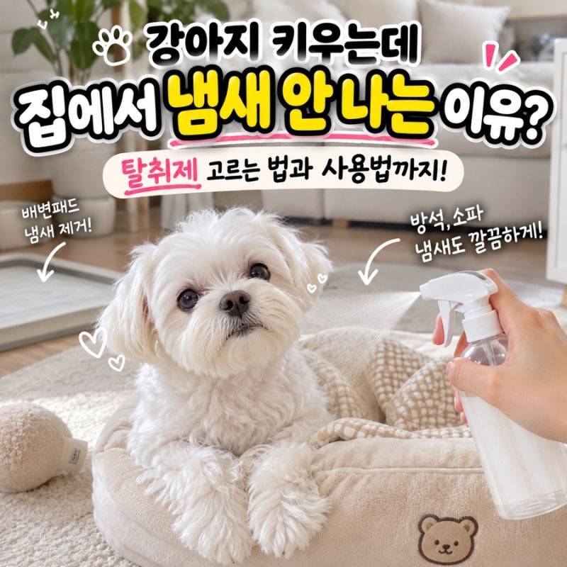 강아지 키우는데 집에서 냄새 안 나는 이유? 탈취제 고르는 법과 사용법